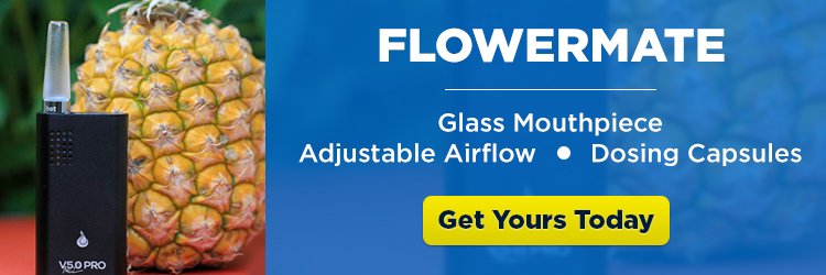 Flowermate Portable Vape - CTA